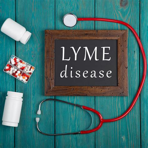 integrative answers to lyme disease collaborative natural health partners