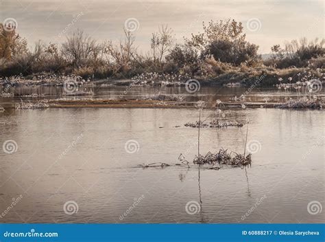 Frosty Morning On The River Stock Image Image Of River Fall 60888217