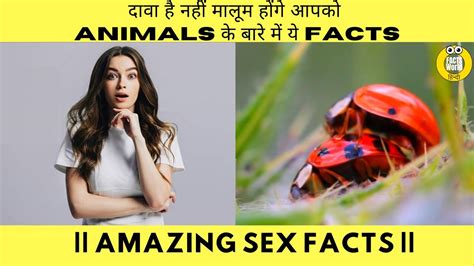 I Bet You Dont Know The Facts About These Animals Sex Facts दावा
