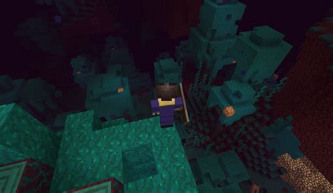 All Minecraft Nether Biomes Pro Game Guides