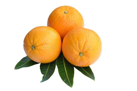 Orange Fruit Stock Photo Image Of Half Rosette Agriculture 38505080