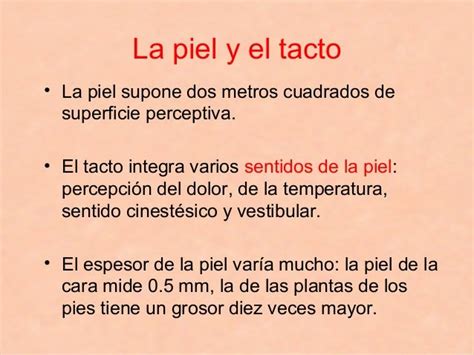 Sentido Del Tacto Características Y Cuadro Sinóptico Cuadro Comparativo