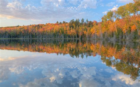 Autumn Scout Lake Michigans Upper Peninsula Usa Autumn Colored Trees