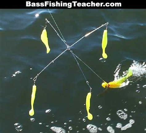 Bass Rigs - Bass Fishing Teacher
