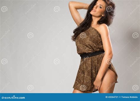 Girl Wearing Leopard Fur Stock Image Image Of Isolated 43264721