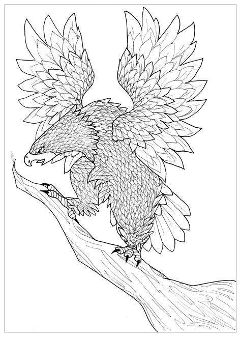 eagle birds adult coloring pages