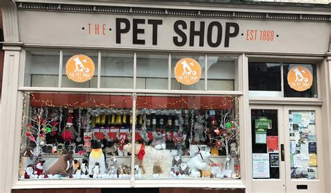 ¿cómo Aumentar Las Ventas De Tu Pet Shop Durante El Covid19— Pet Markt
