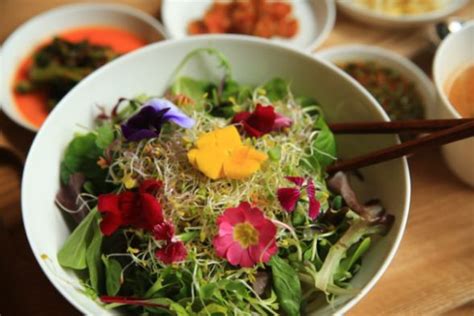 The site was established in 1999. Spring Restaurant Promotion Ideas