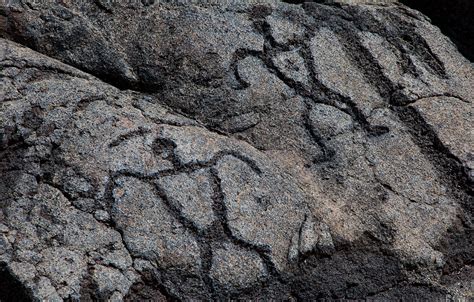 Petroglyphs On The Island Of Hawaii Go Hawaii