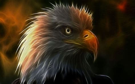 3d Eagle Wallpapers Desktop Wallpaper Cave