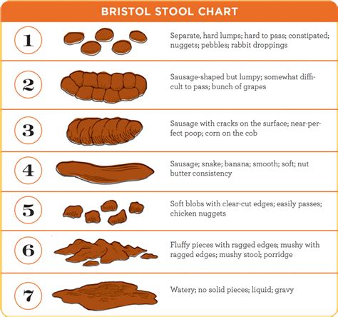Briston Stool Chart Stools Item