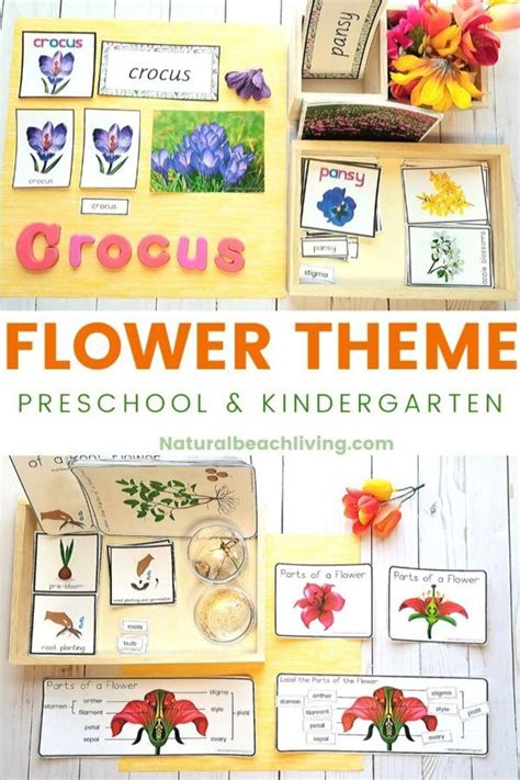 Maybe you would like to learn more about one of these? Flower Theme Preschool and Kindergarten Activities ...