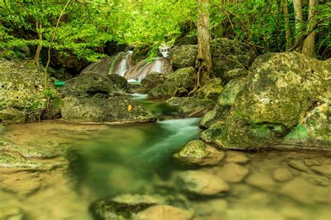 Premium Photo Beautiful Waterfall In Green Forest