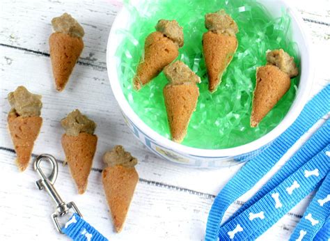 You can give it to your furry companion instead of or together with their usual treat. Homemade Carrot Dog Treats ⋆ NellieBellie