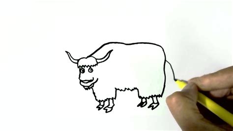 The Best Free Yak Drawing Images Download From 56 Free Drawings Of Yak