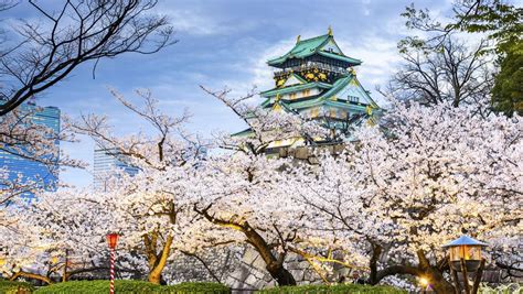 But you've got to experience one or more of the seasons to actually know what it means. Japan's famous cherry blossom season is so popular you ...