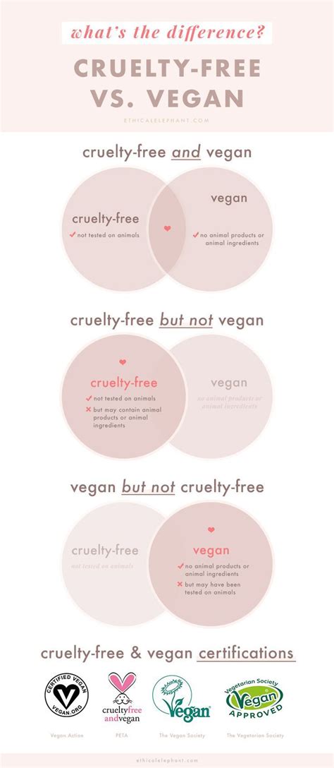 Cruelty Free Vs Vegan Understanding The Differences And Why They