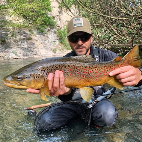 Fly Fishing Guide Italy Brown Trout 1 Fly Fishing Guide Italy