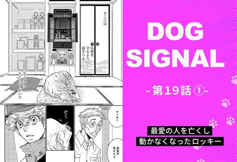 【1話無料試し読み】『dog Signal』全巻各話あらすじまとめ すべての犬好きに捧ぐ漫画ワンクォール