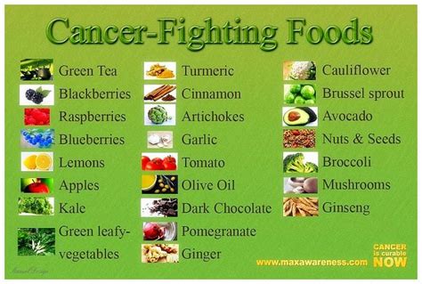 Elemental Diet For Cancer Listen To Your Gut