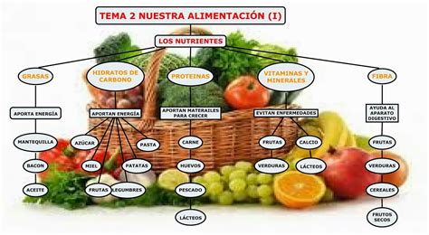 La libreta de Antonio TEMA 2 NUESTRA ALIMENTACIÓN MAPA CONCEPTUAL