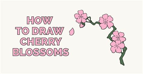 Anime Simple Cherry Blossom Tree Drawing