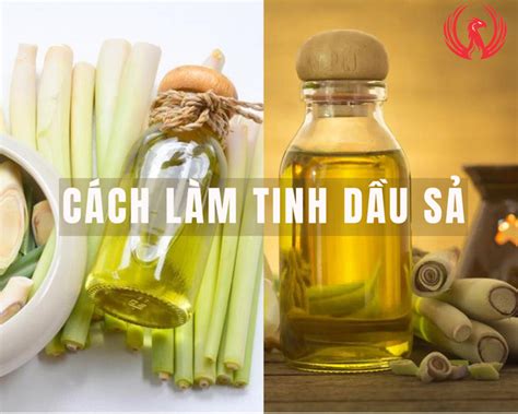 Top 25 Hướng Dẫn Cách Làm Tinh Dầu Sả Hay Nhất Vn