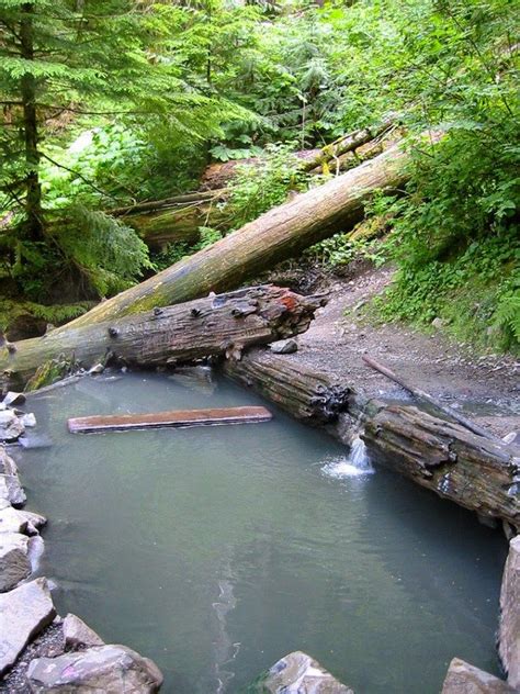 There Is A Small Pool In The Middle Of Some Rocks And Trees With Logs On It