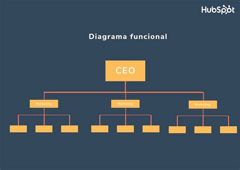 Organigrama Funcional Que Es Un Organigrama De Funciones Images