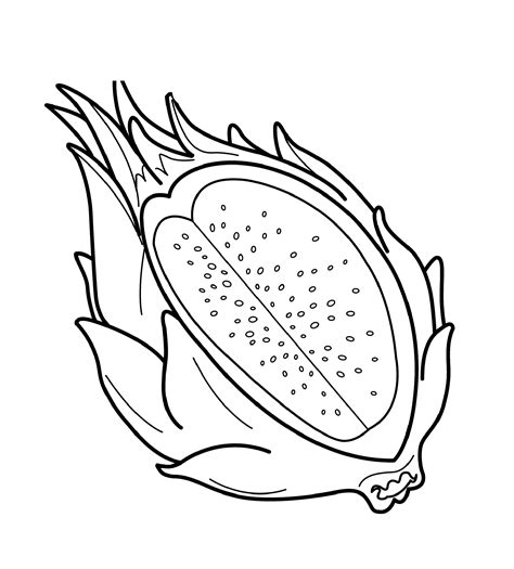 Draw with me dragon fruit and learn how to draw cute food super easy and kawaii. Dragon Fruit Coloring Pages For Kids #9D : Printable ...