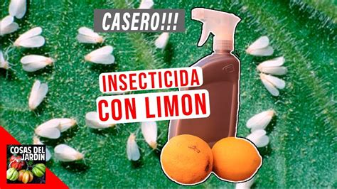 Insecticida Casero Extracto De Limon Facil Pulgones Y Mosca Blanca