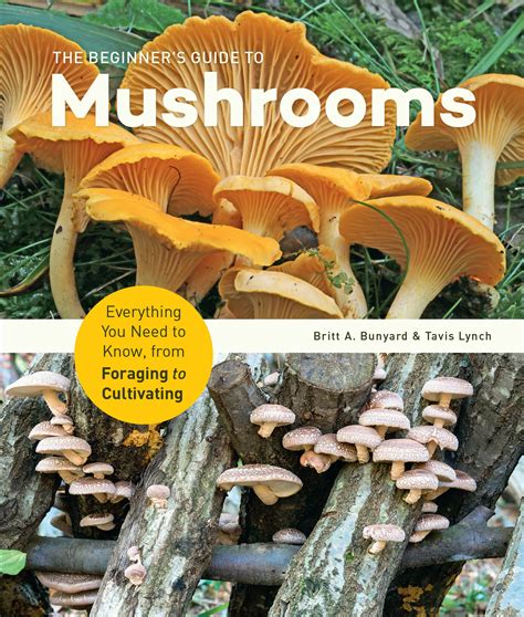 The Beginners Guide To Mushrooms Everything You Need To Know From