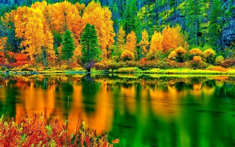 Paesaggio autunnale con il fiume bosco. Scarica sfondi albero, autunno, natura, paesaggio, foresta, lago, alberi monitor con risoluzione ...