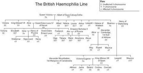 Queen elizabeth ii has had to be very flexible in her reign to meet up changing world. Pin by Nandy Woman on Royals | Queen victoria family tree ...