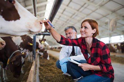 ePet Health: 3 uses of connected devices and digital in animal health