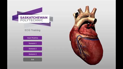 Ecg Nursing Training Virtual Reality Training Solutions Youtube