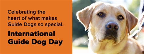 National answer your cat's question day. Celebrating International Guide Dog Day 2020 - April 29 ...
