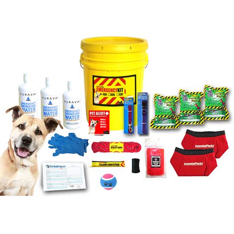 Emergency Kit For Dogs