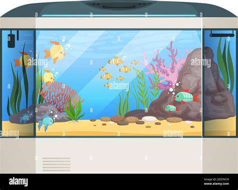 Big Aquarium Fishes And Water Plants In Glass Aquarium Tank Underwater