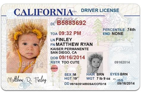 Blank California Drivers License Template Ionkop