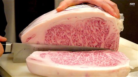 With this beautiful steak i wanted my family to experience this amazing cut. Rare Miyazaki Wagyu A5 - Teppanyaki in Japan in 2020 | How ...