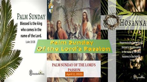 Palm Sunday Of The Lords Passion I April 2 2023 Youtube