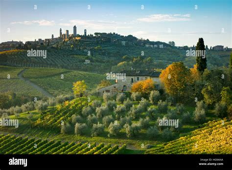 Vineyards And Olive Groves Below San Gimignano Tuscany Italy Stock