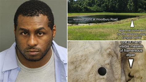 Suspect Behind Sexual Battery Attempt Identified After Algae From Crime Scene Spotted On Clothes
