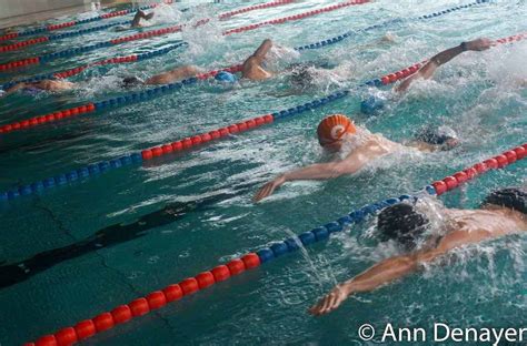 Maaseik'teki meuse vadisi yaklaşık 4 kilometre genişliğindedir. Jelle Clijsters en Lien Peeters winnen zwemloop Maaseik ...