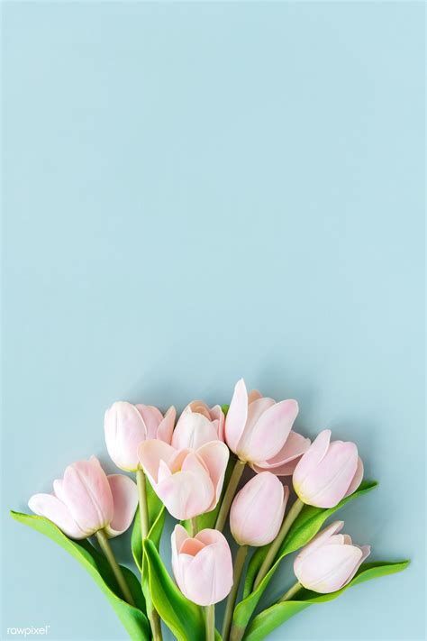 Spring Pastel Wallpapers Wallpaper Cave