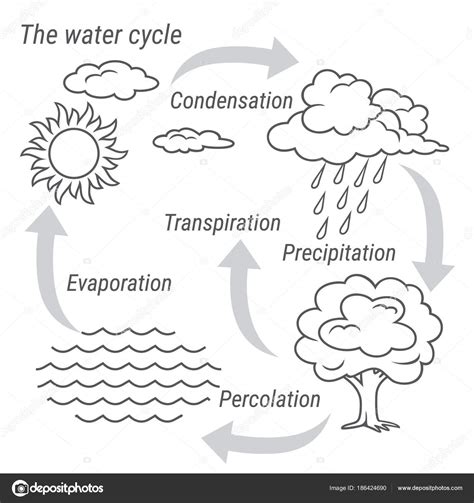 Draw A Diagram Of The Water Cycle Water Cycle Black And White — Stock