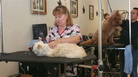 You can call at +1 574 971 5410 or find more contact information. Happy Tails Pet Salon - 15 Photos & 26 Reviews - Pet ...