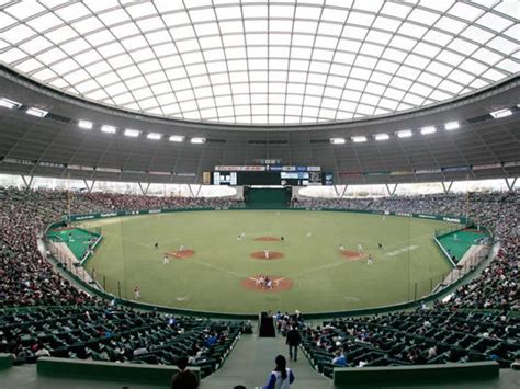 お支払いが無駄になることはありません。 最新の動画定額プランで毎月5点の動画を入手できます。 ライブラリ内のすべてのhdおよび4kの動画クリップも対象です。 4k00:15プロジェクトをオンラインで話し合っています。 路肩の接写図。 メットライフドーム(西武ドーム)《アクセス情報・ホテル情報 ...