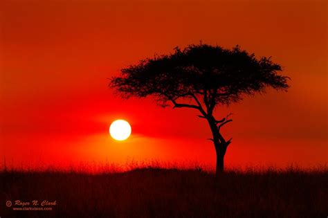 Sunset Pictures Cool Pictures Cool Photos Tanzania Safari Serengeti